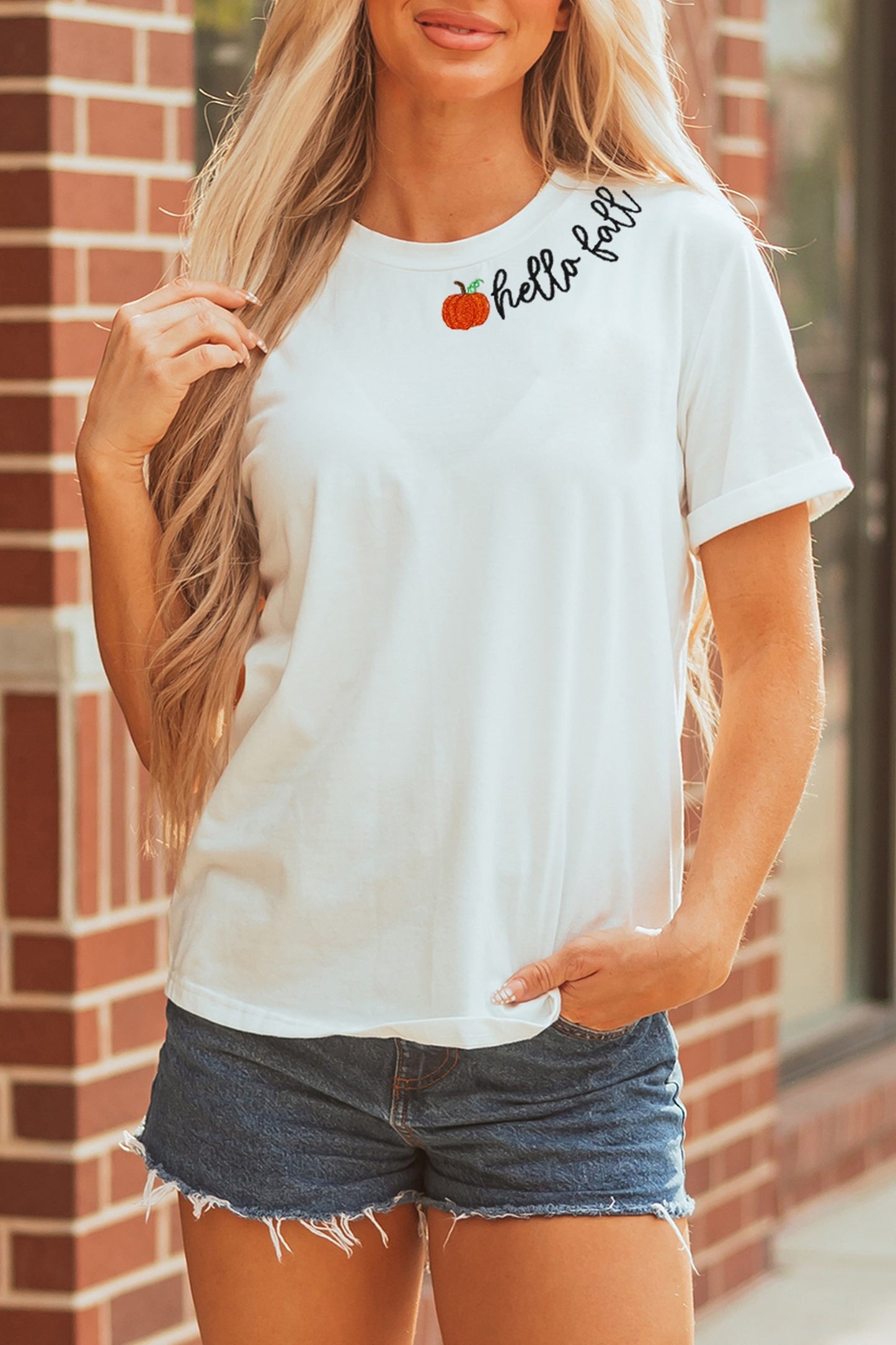 White hello fall Embroidered Pumpkin Hello Casual Round Neck T Shirt - Blu Pepper Boutique